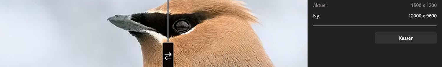 Det var en tydelig forskjell i skarphet mellom det originale bildet og det oppskalerte bildet etter at vi brukte Superoppløsning. Det var en tydelig forskjell i skarphet mellom det originale bildet og det oppskalerte bildet etter at vi brukte Superoppløsning.